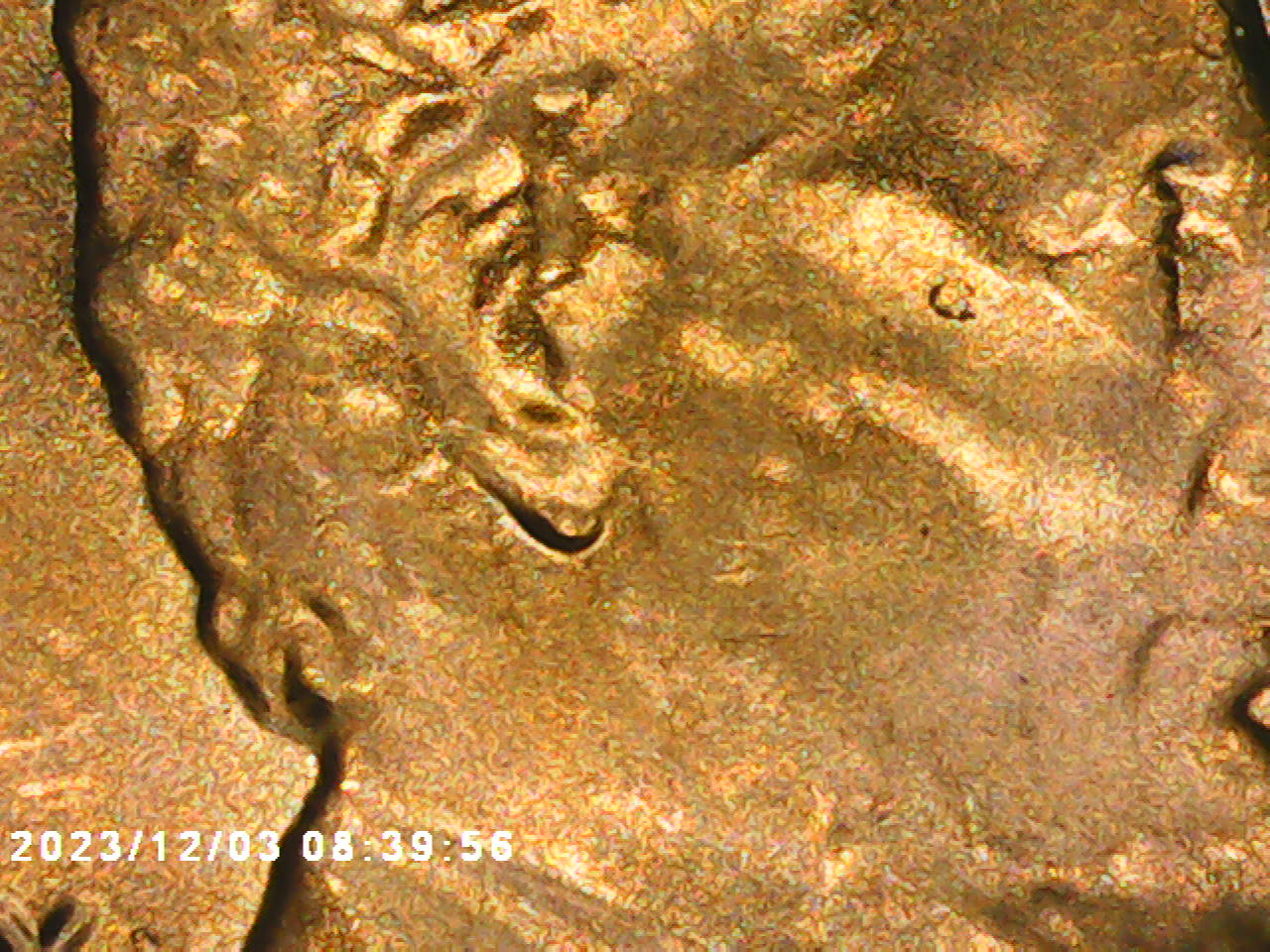 2022-D-LSC-Double-Ear